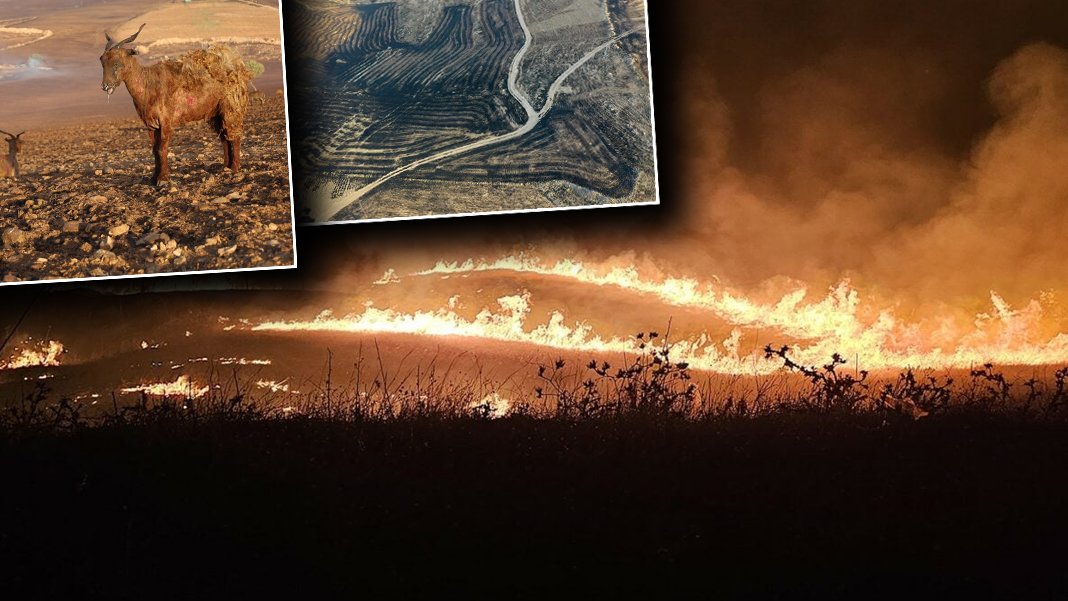 Diyarbakır-Mardin faciasının itfaiye raporu ortaya çıktı: Yangının sebebi elektrik telleri