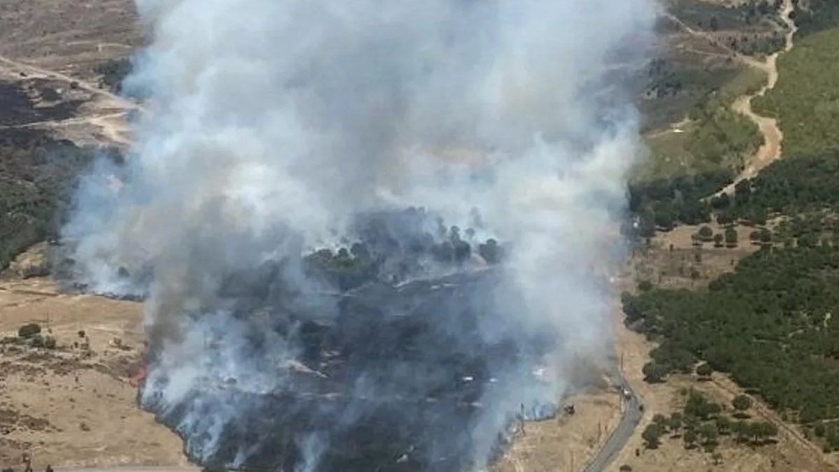 Ayvalık'ta çıkan yangın kontrol altına alındı