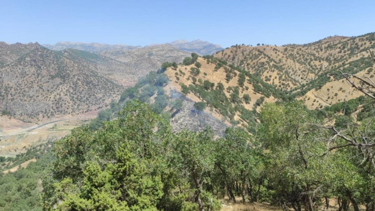 Siirt'te ormanlık alana giriş yasaklandı