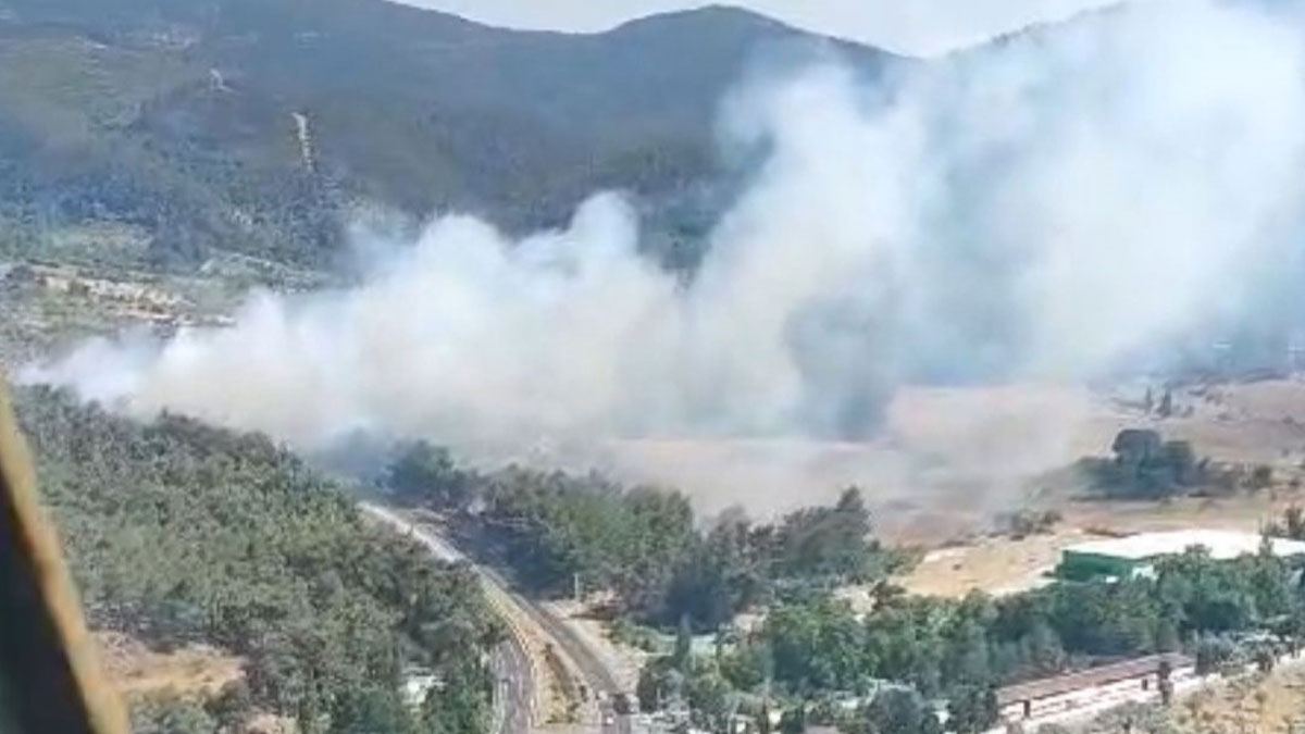 İzmir'de orman yangını: Müdahaleler devam ediyor