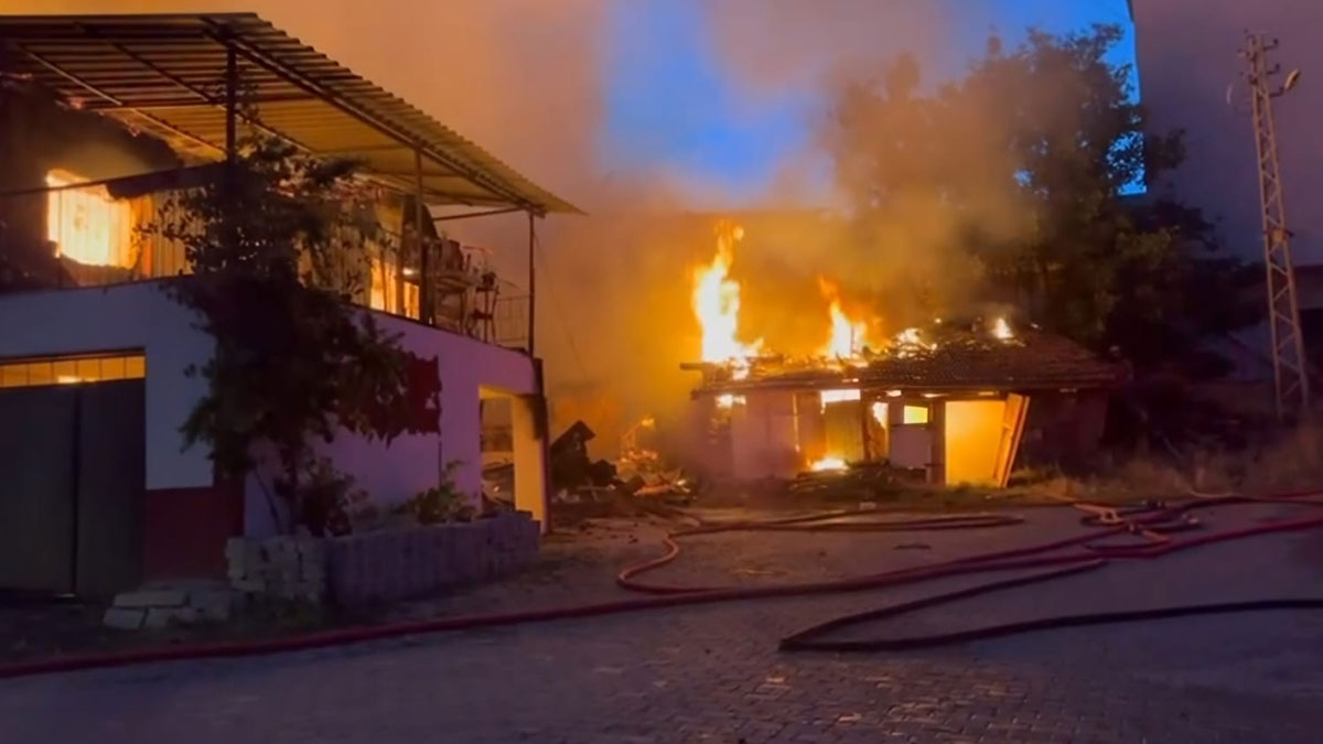 Ankara'da yangın: 3 ev ve 1 ahır kül oldu