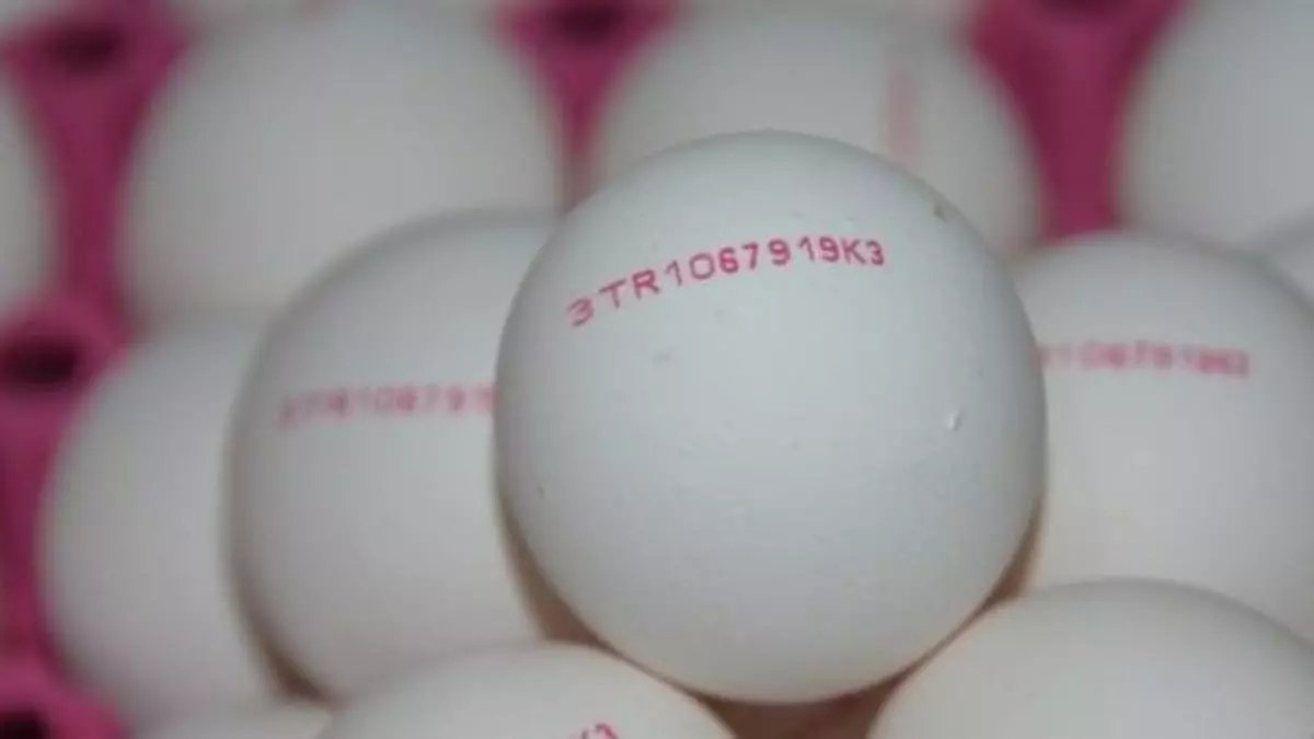 Yumurtaların üzerinde bu rakam varsa yemeyin! Kimse dikkat etmiyor ama... O kodların anlamı çok önemliymiş