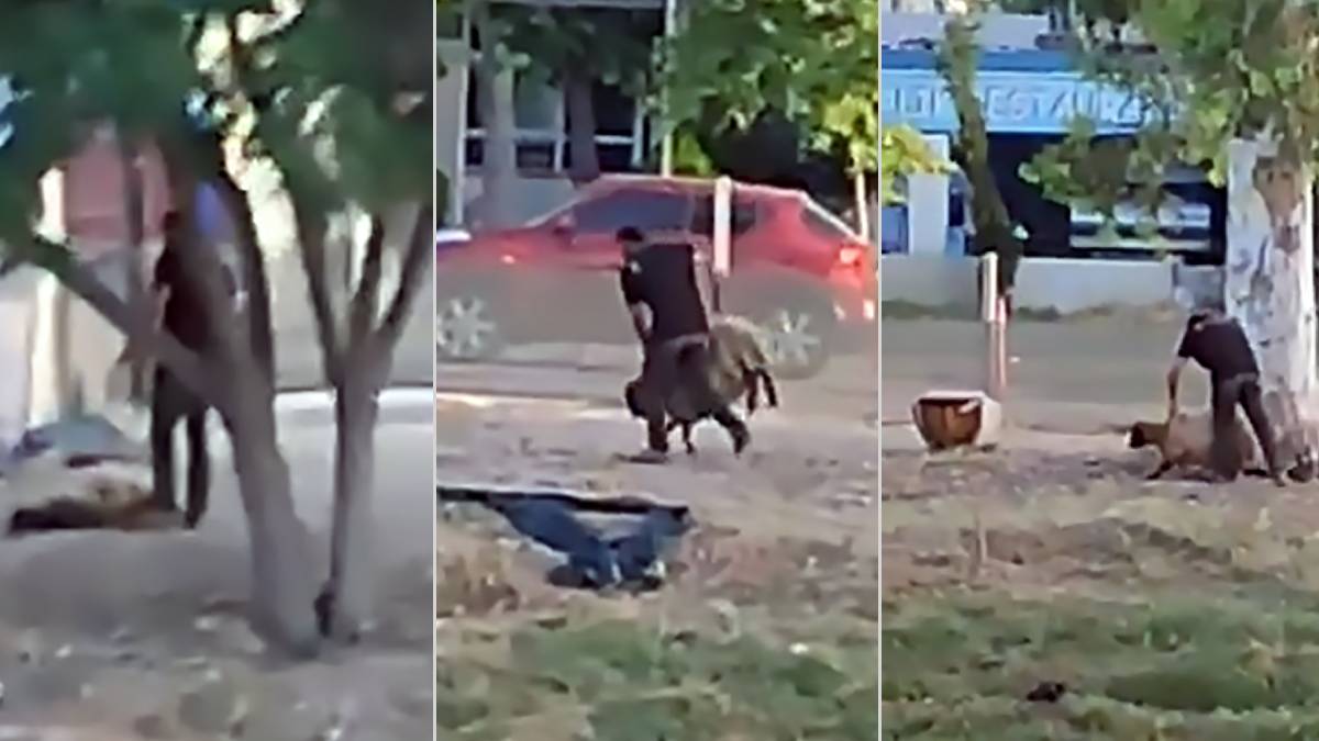 Koyunu yerden yere vurdu suçu hayvanın üzerine attı: Hastaydı, sürünün gerisinde kalıyordu