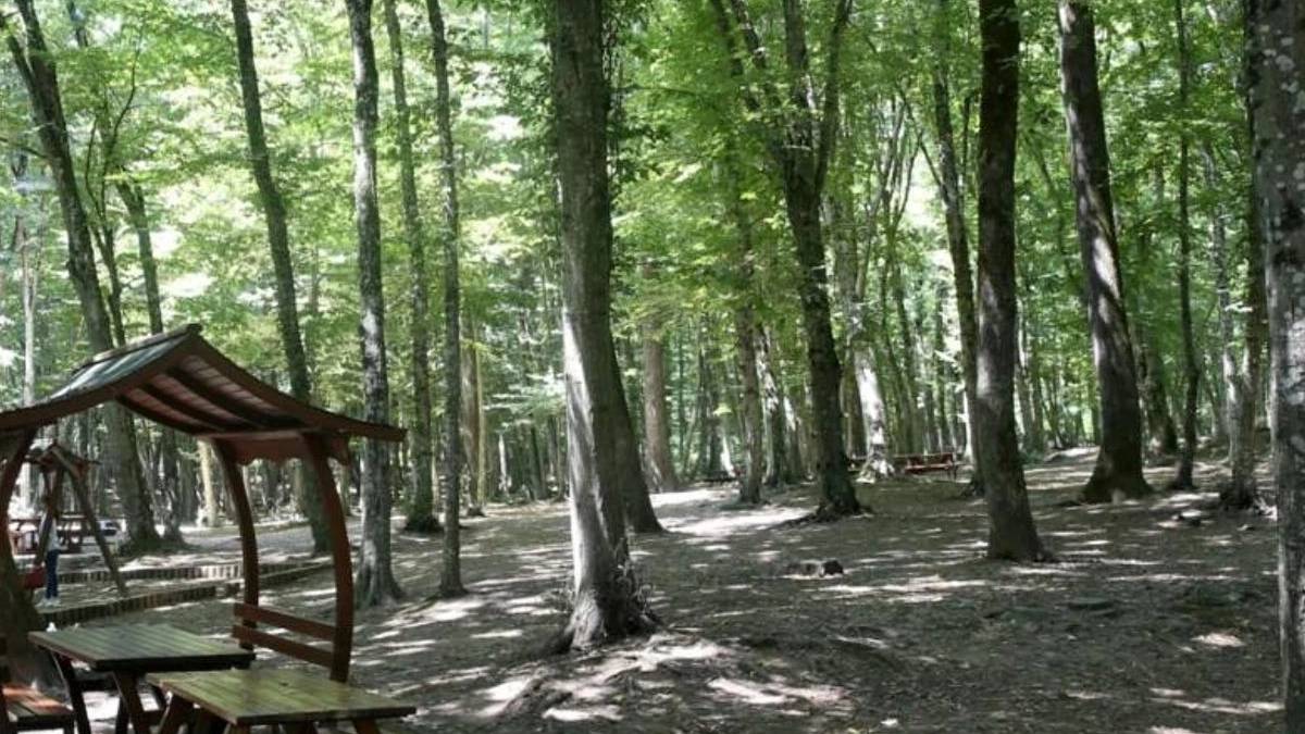 Bolu'da ormanlık alanlara giriş yasaklandı