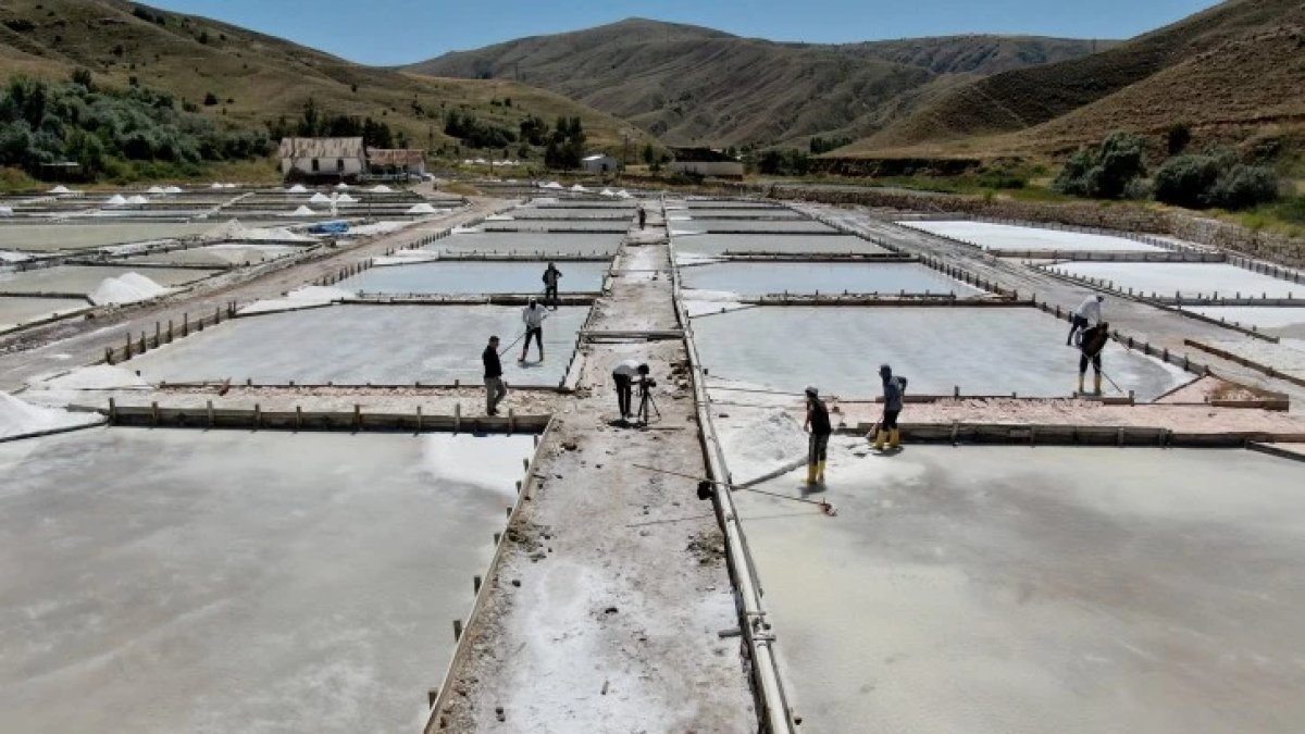 Yerin 7 metre altında hasat başladı! Sivas'ta üretiliyor, 84 mineral bulunduruyor: Çuval çuval satılıyor