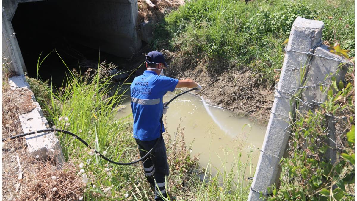 Efeler’de ilaçlama çalışmaları hızla devam ediyor