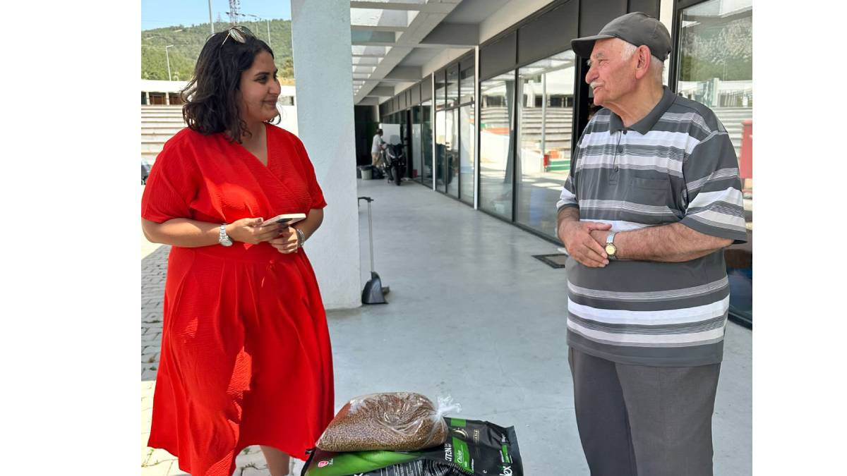 Sahipsiz kediler için anlamlı bağış