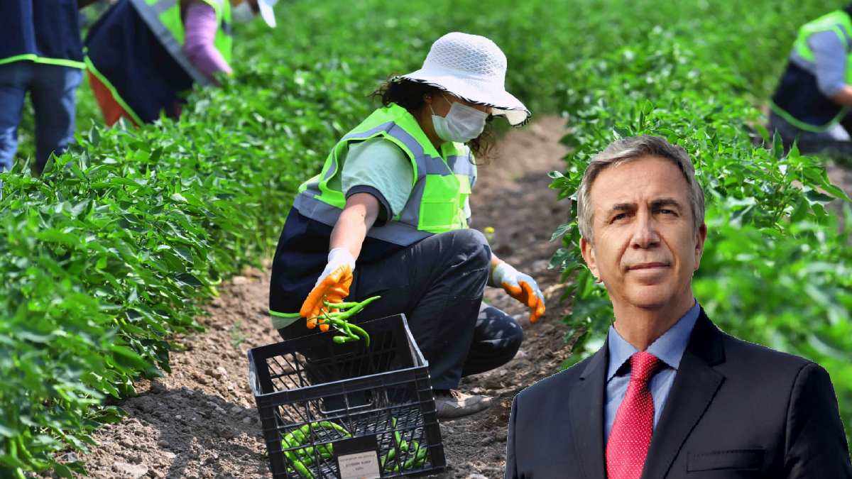 ABB çalışanları unutmadı! Yeni aylarda yeni düzenleme! Artık bu şekilde çalışılacak