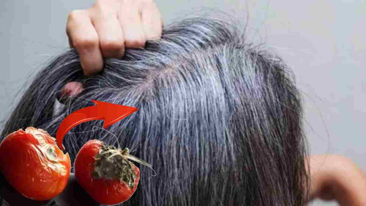 Çürüğü bile faydalı! Çürük domatesleri çöpe atmayın, değerlendirin: Beyazdan eser bırakmıyor