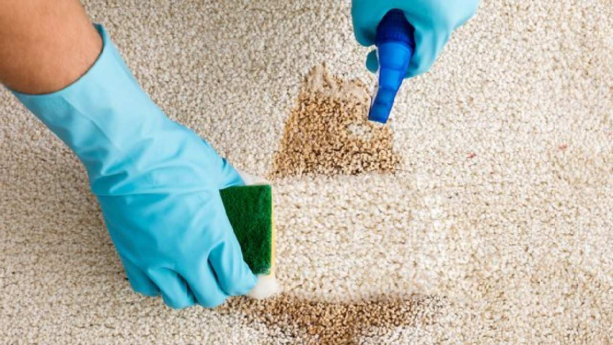 Halıdaki inatçı lekeler can sıkmasın! Dökülen çay ve kahveler şıp demeden çıkıyor! İşte en basit temizleme yöntemi