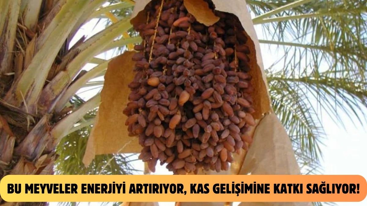 10 kutu enerji içeceği içmiş gibi yapan meyveler! Bunları yiyenin enerjisi hiç bitmiyor