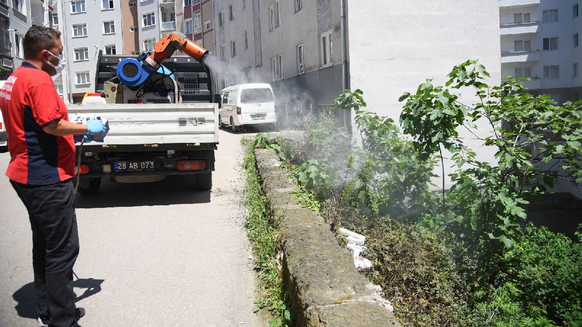 Kent genelinde ilaçlama çalışmaları yoğunlaştı