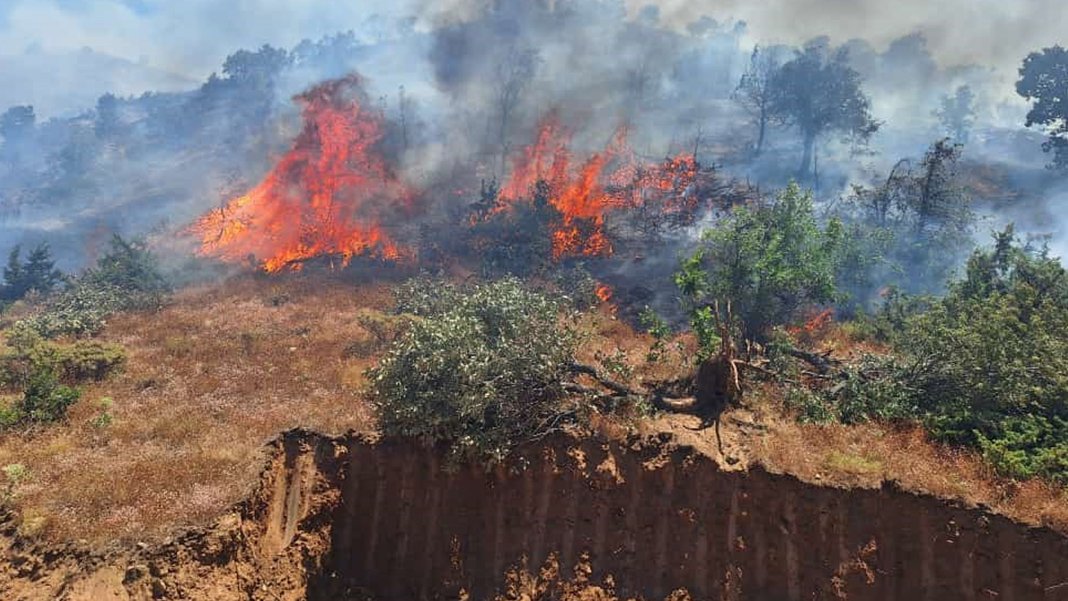 Bingöl'ün iki ilçesinde orman yangını