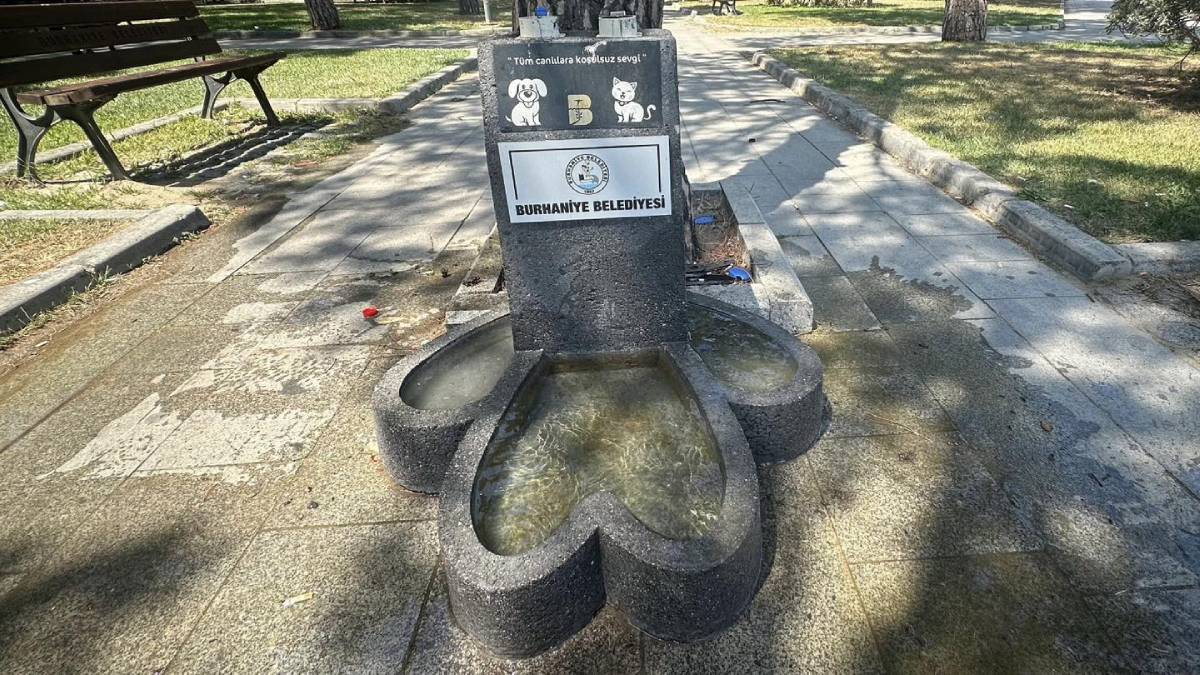 Burhaniye Belediyesi'nden sokak hayvanları için özenli bakım