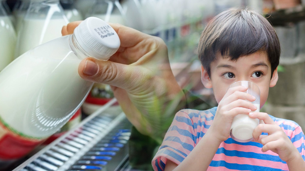 Trump taraftarları çiğ süt için marketlere akın etti! Pastörize süt zararlı mı? İşte cevabı