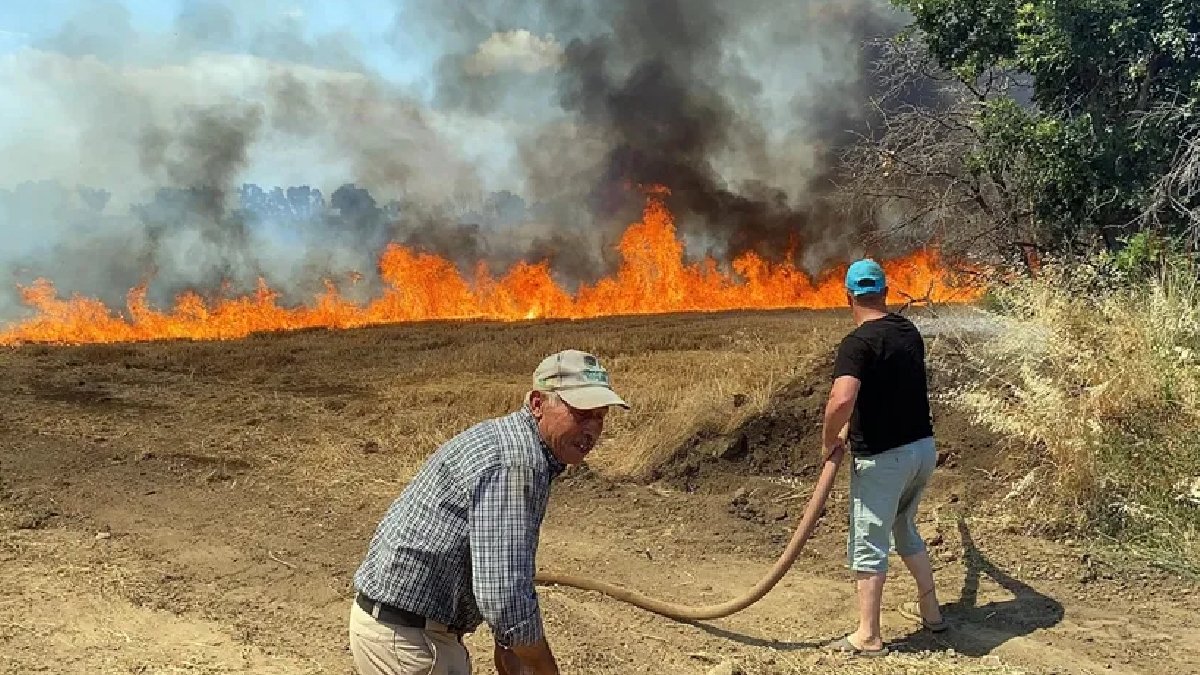 Edirne'de buğday tarlasında yangın: Alevler ağaçlara sıçradı