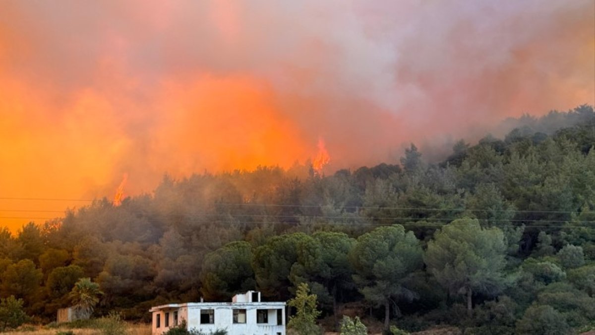 Türkiye'de yangın alarmı: Birçok ilde mücadele sürüyor
