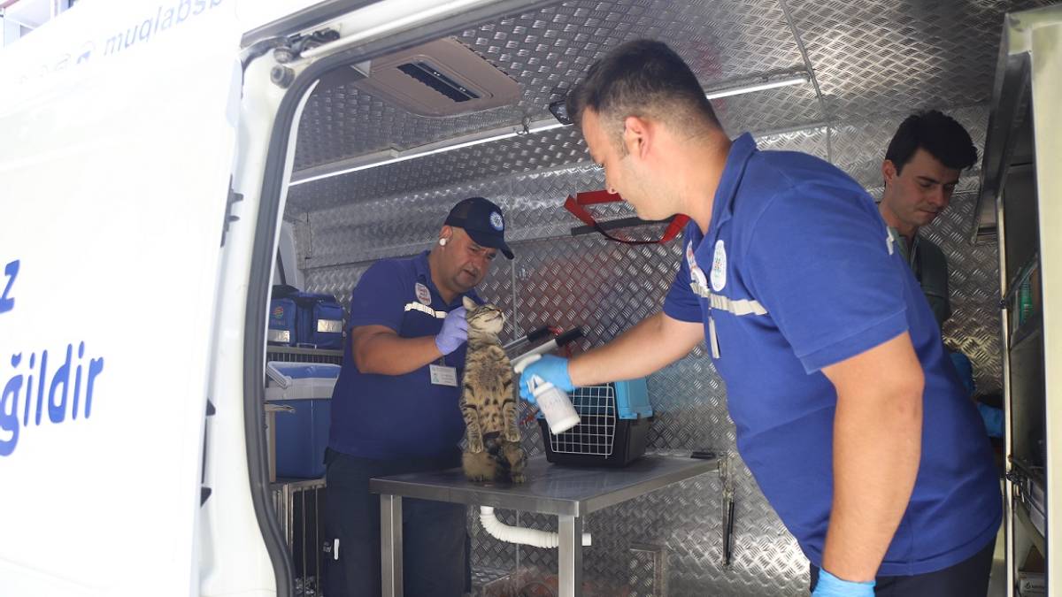 Can dostlar İçin Acil Müdahale Aracı yollarda