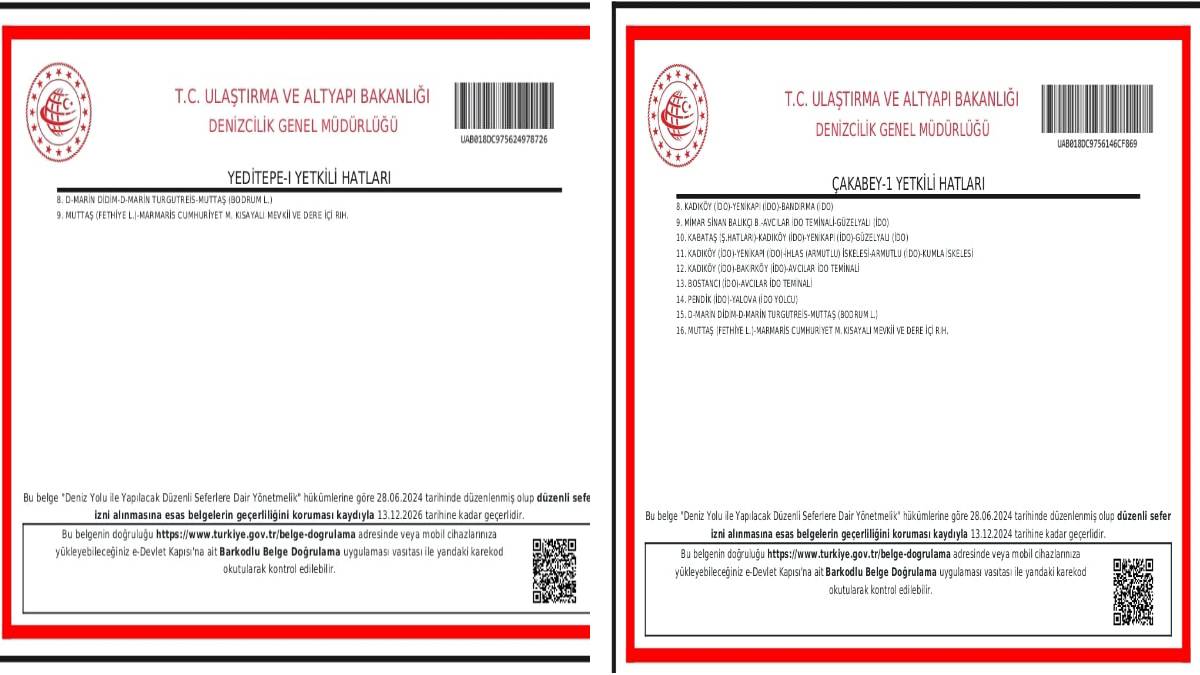 Bakanlık izinleri tamamlandı, seferler başlıyor