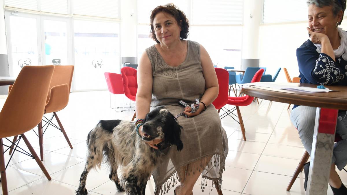 Cesur, artık gereken ilgi ve sevgiyi görecek