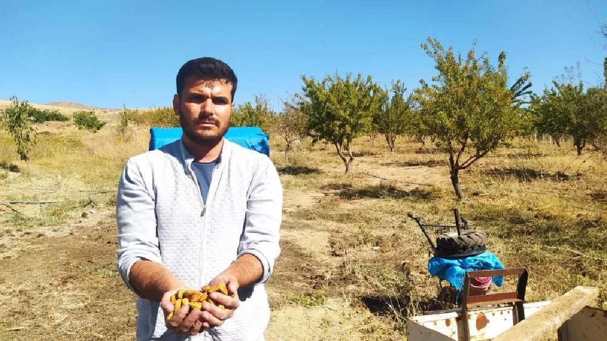 Herkes ‘boş iş’ dedi, o ise köşeyi döndü! Kilolarca topluyor, kendi cebini kendi dolduruyor