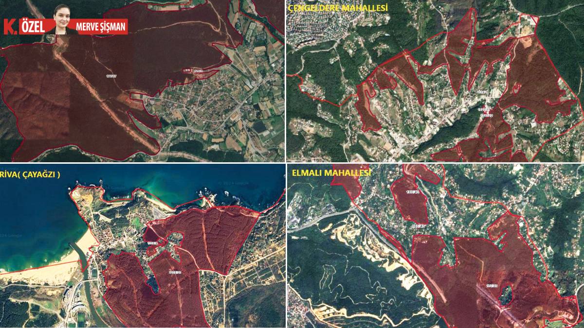 Orman bir gecede arsa oldu