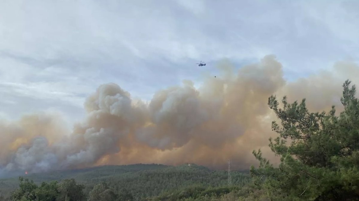 Ormanlık alanlar için tedbir: Girişler 15 Ekim'e kadar yasaklandı