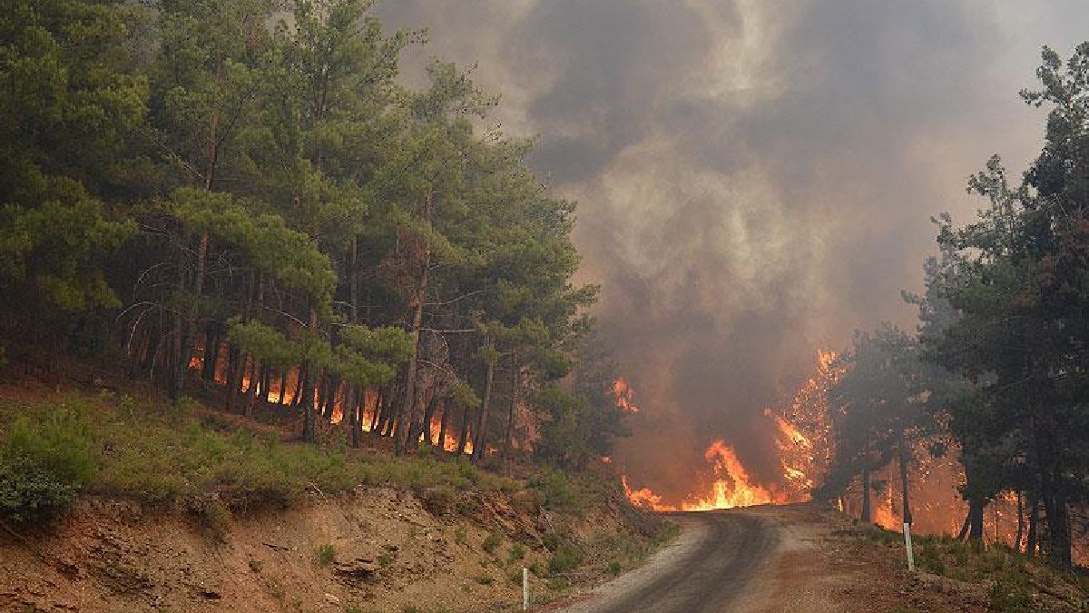 OGM'nin ihale açıklaması alevlere benzin döktü: İhalesi iptal edilen Emet'te 20 bin metrekare alan kül oldu