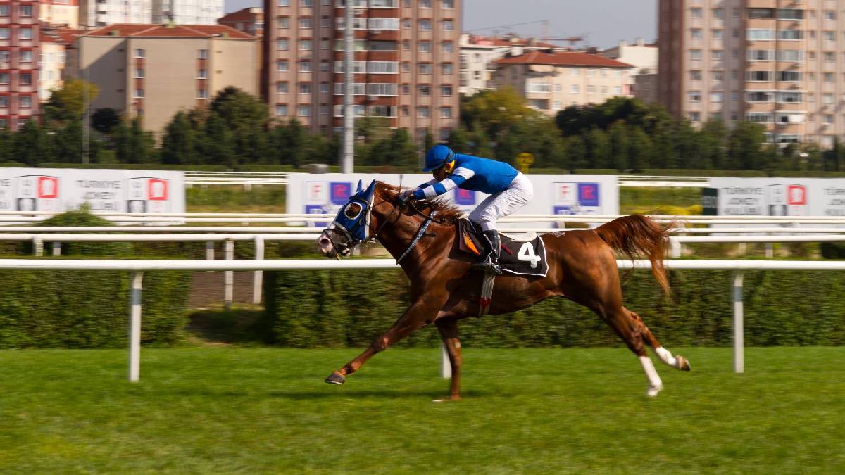 At yarışı bahislerinin yeni bayisi 4Nala.com, 30 Haziran’da Gazi Koşusu’ndaki yerini aldı