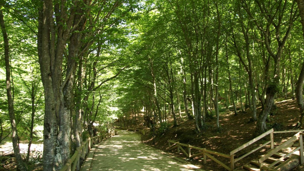 Türkiye'de doğanın içinde olan tek mescit! Buram buram huzur kokuyor: Her ilden akın akın görmeye geliyorlar