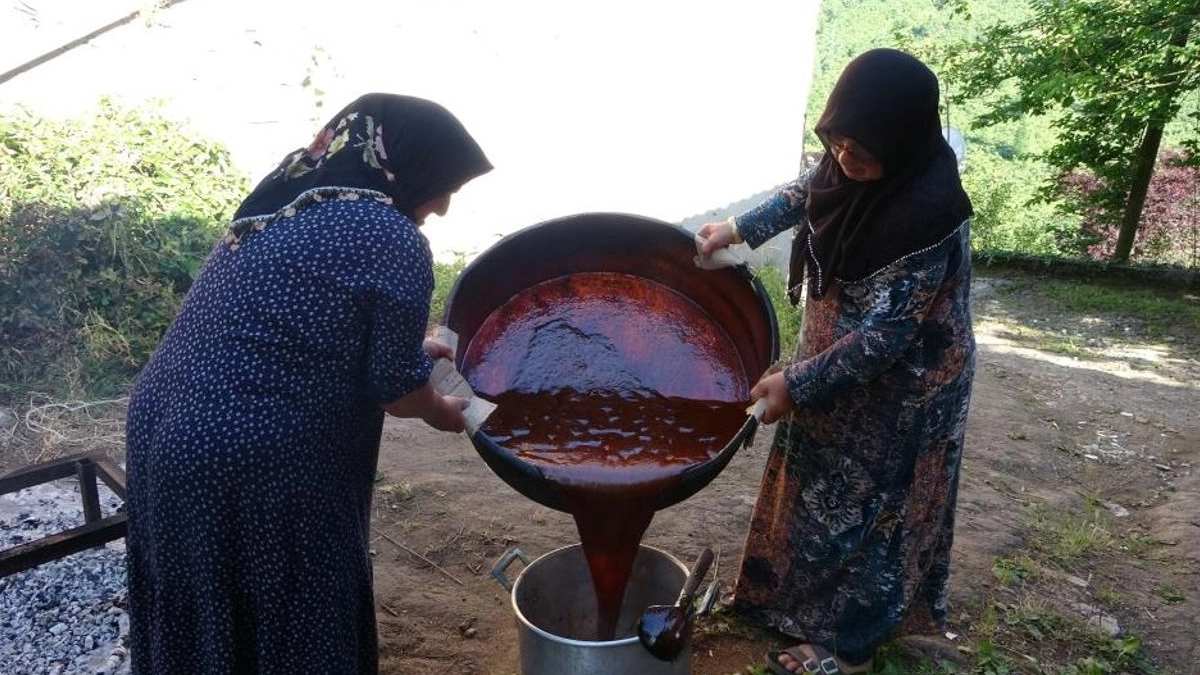 Hem kazancı yüksek hem de faydası! Bahçesine eken büyük kazanıyor, kilosu 1000 TL’den satılıyor