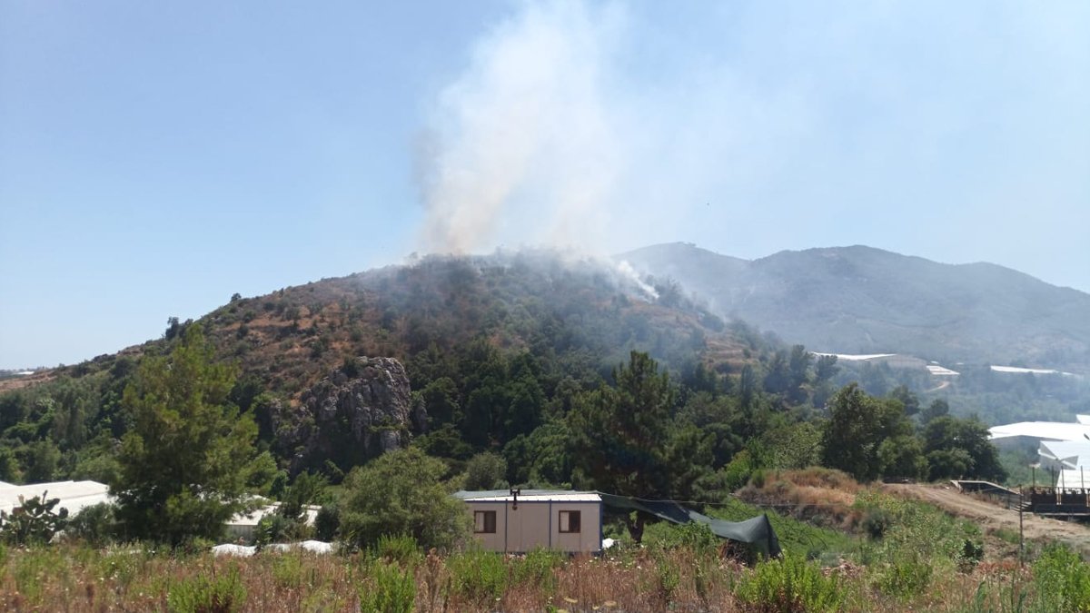 Mersin'deki orman yangını kontrol altında