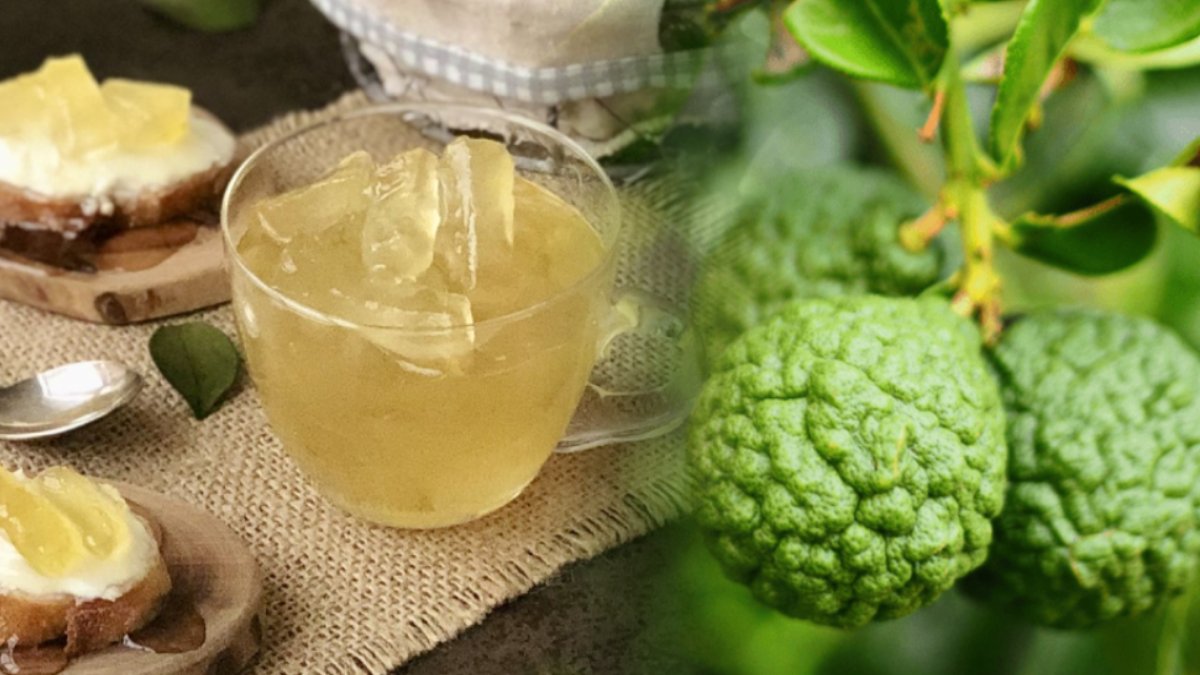 Çaya atılınca lezzetini katlıyor, reçeli yapılıyor! Osmanlı'nın gözdesiydi, tescilli lezzet şifa deposu çıktı