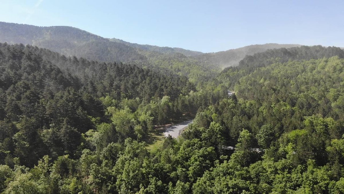 Bursa'da ormanlık alanlara girişler 1 Ekim'e kadar yasaklandı