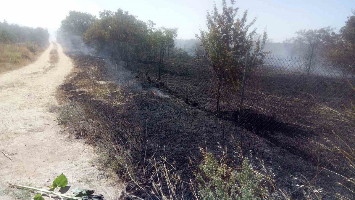 Arabadan atılan sigara izmariti felakete neden oluyordu