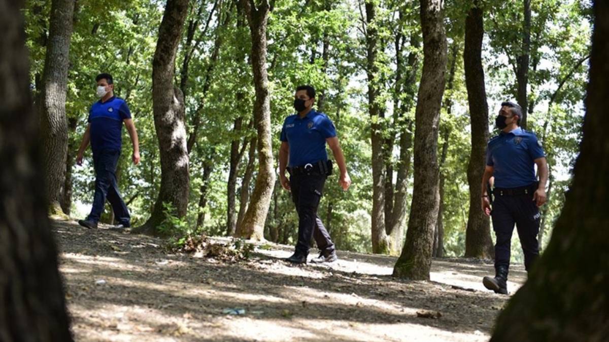 Bursa'da ormana giriş yasağı