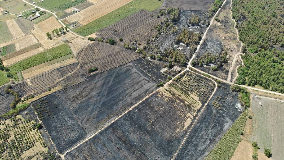Başkan Bozbey’den ağaçlandırma çağrısı