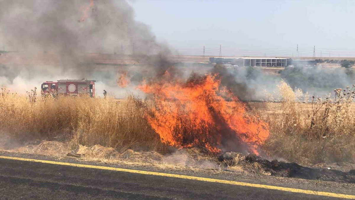 Çorlu'da Anız Yangını: Bin 300 dönüm alan kül oldu