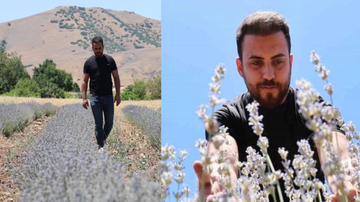 İnternette görüp heveslenince ekti, hem çiçeğini hem yağını satıyor! Ekimde ekip temmuzda toplanıyor