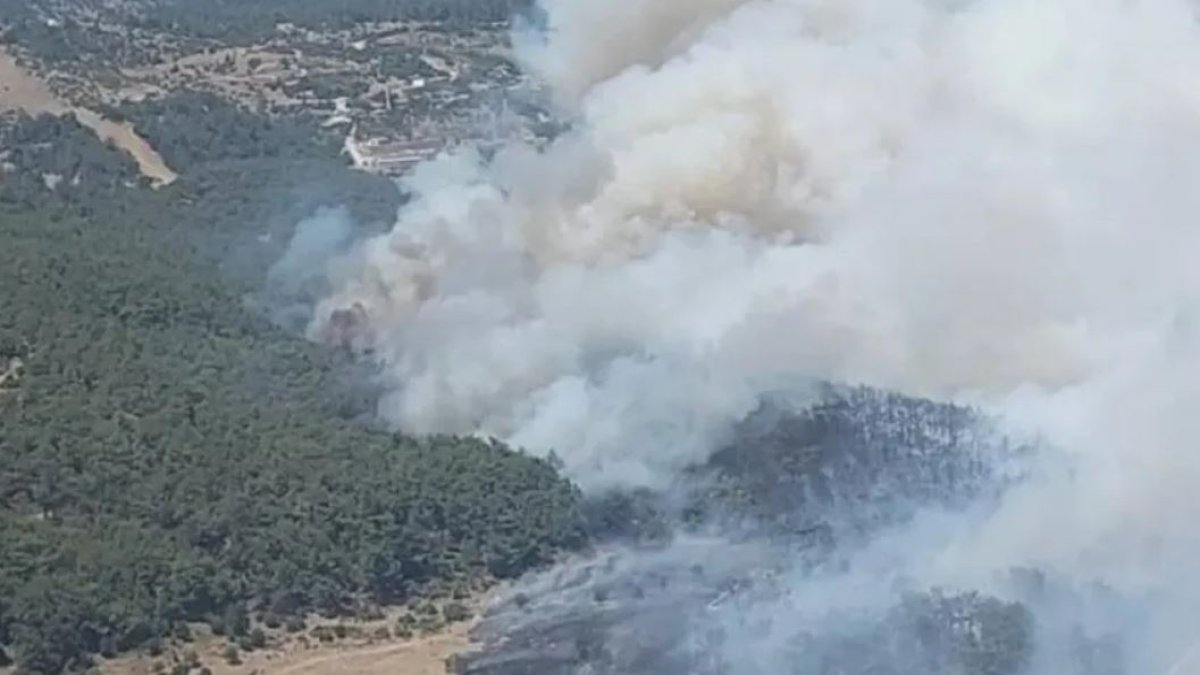 İzmir'de orman yangını: Sabuncubeli Tüneli trafiğe kapatıldı