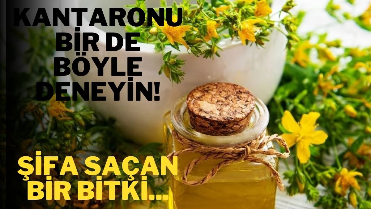 Doğru şekilde kullanan şifaya erişiyor! Kantaronu bu şekilde denediniz mi? Ne ruhsal ne fiziklsel hastalık bırakmıyor…