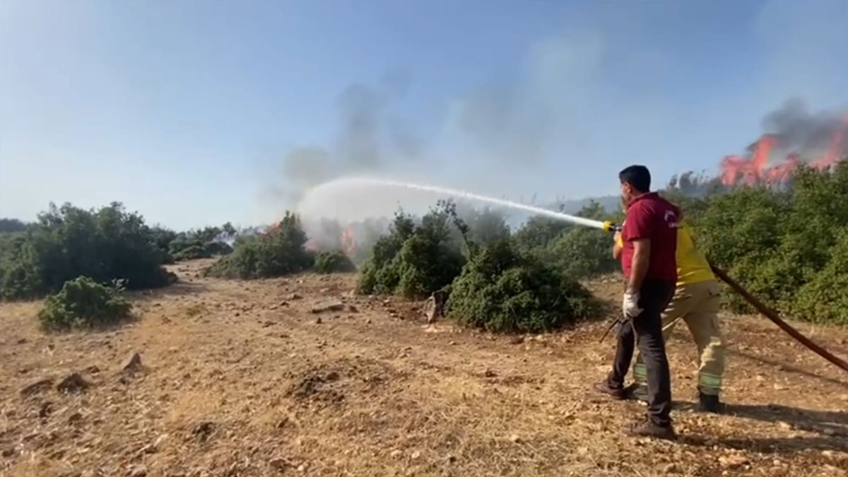 Kahramanmaraş'ta 2 noktada orman yangını