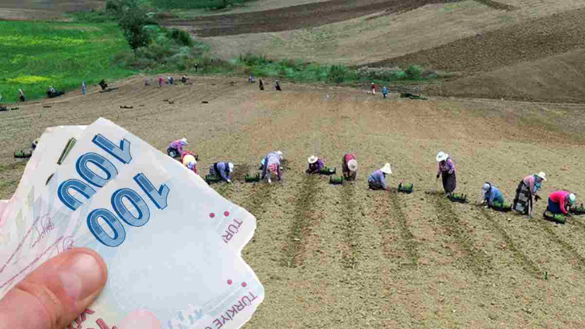 Bakan Bolat müjdeyi duyurdu! 400 Bin TL'den fazla hibe desteği: Başvuru için son tarih 31 Temmuz