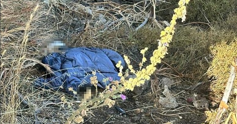 Bodrum'da tüyler ürperten olay! Yürüyüş yaparken buldular