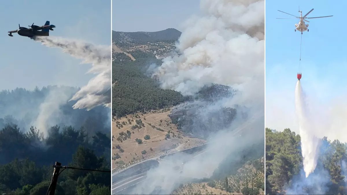 MSB'den Karabük'teki orman yangınına ilişkin açıklama: İki helikopterle müdahale ediliyor