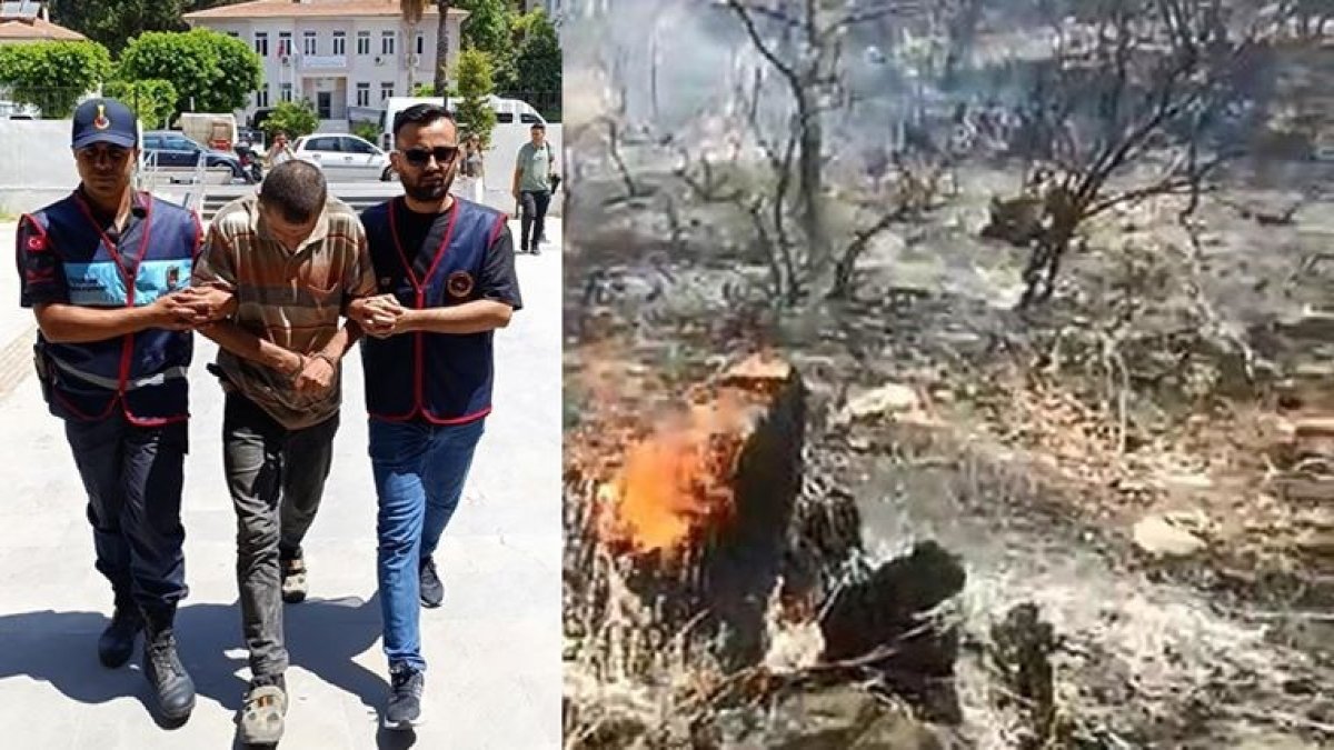 3 orman yangını çıkaran çobanın ifadesi pes dedirtti: Görevlilere kızdım, yaktım