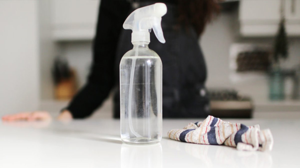 Hem eviniz mis gibi koksun hem de sinekleri kovun! Sadece 2 malzemeyle: Doğal ve ekonomik