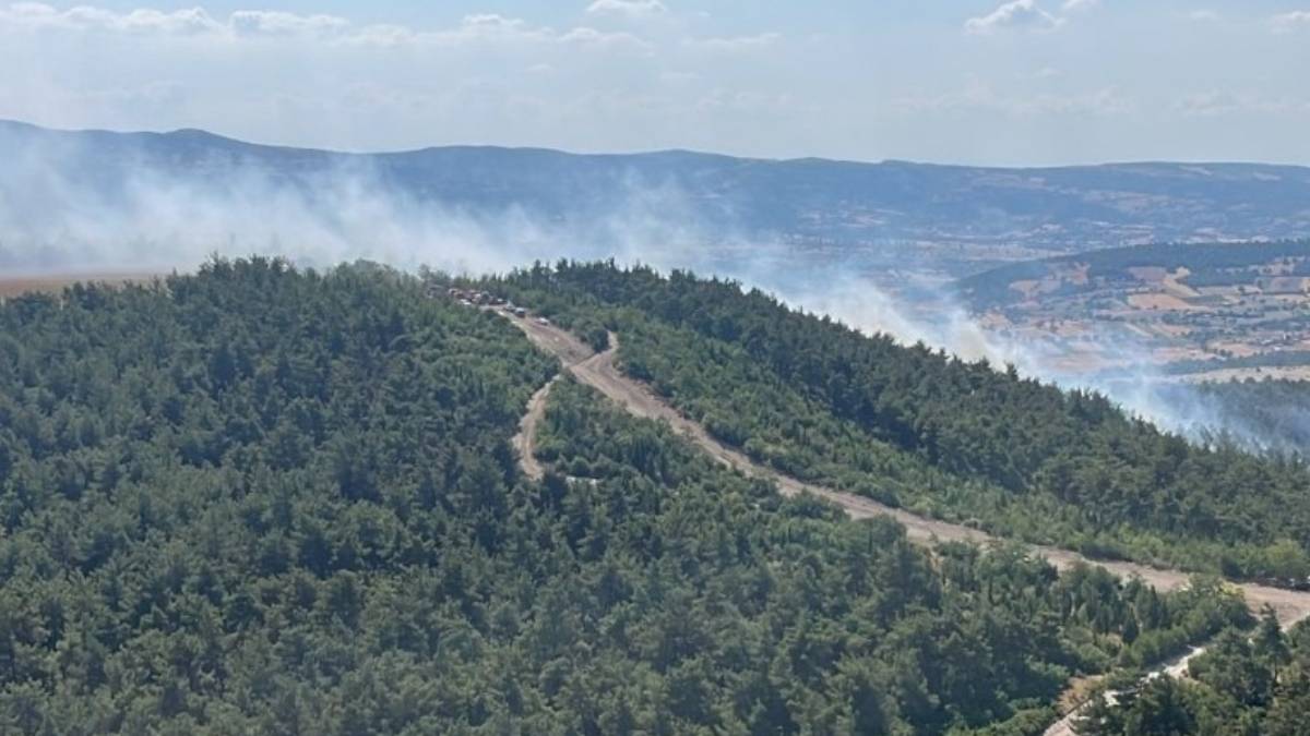 Balıkesir'de orman yangını