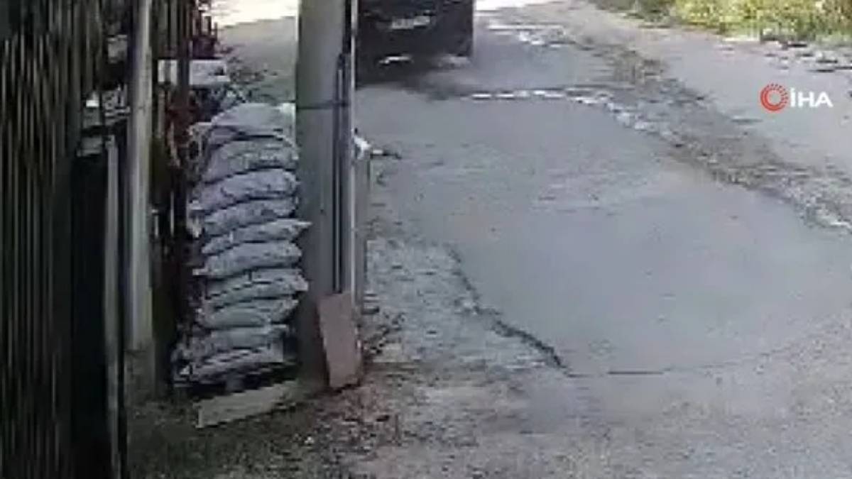 Bu nasıl vicdansızlık! Otomobil sürücüsü su içen kediyi ezdi geçti