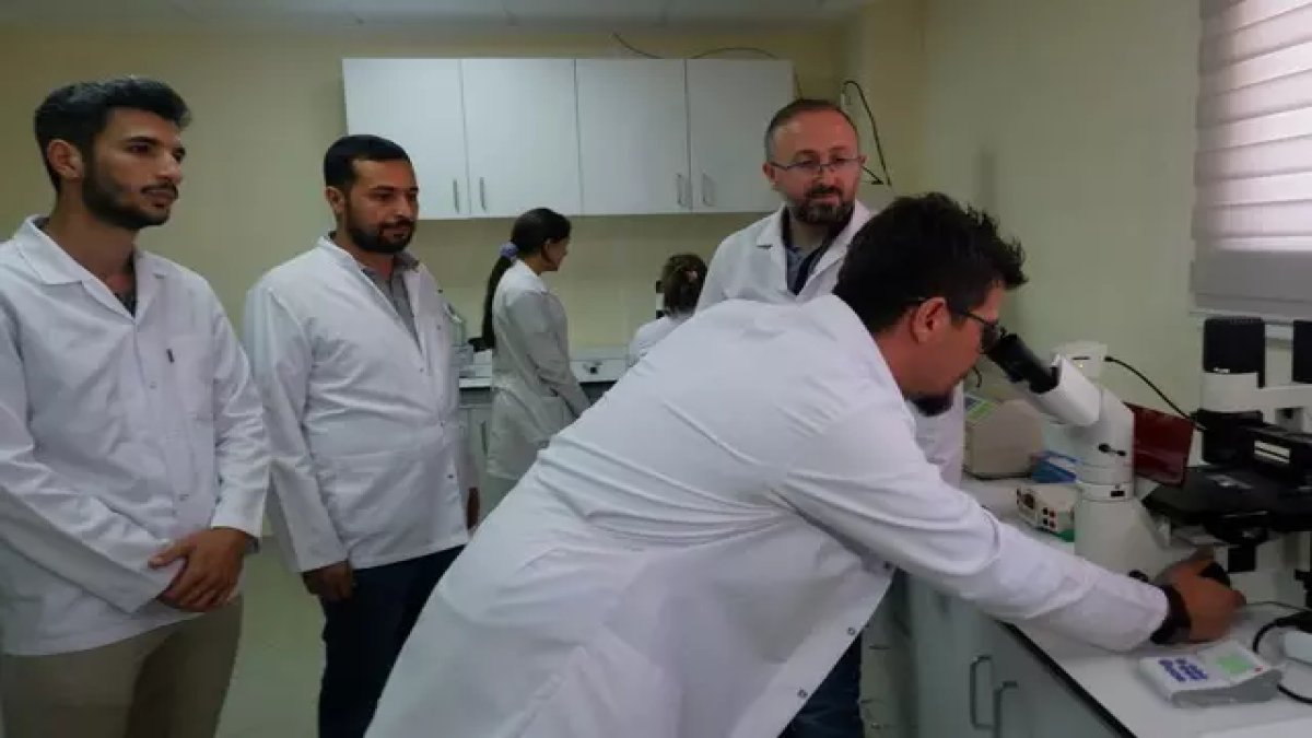 Türk doktorları adını tarihe yazdırdı! Dünya bunu konuşuyor: Demans ve ALS hastaları için geliştirildi